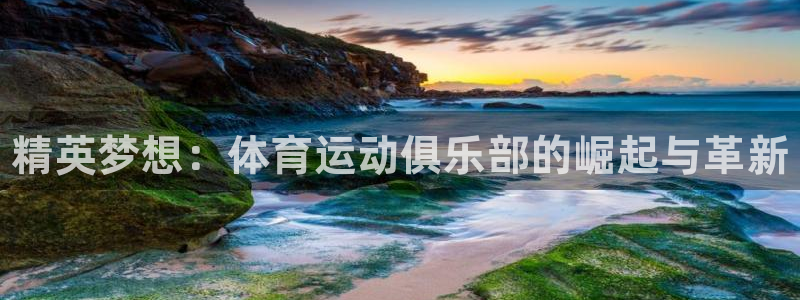 利记官方正版app代理：精英梦想：体育运动俱乐部的崛起与革新