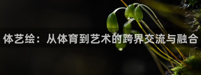 注册利记官方正版app：体艺绘：从体育到艺术的跨界交流与融合