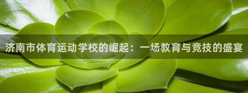 利记官网下载平台APP：济南市体育运动学校的崛起：一场教育与