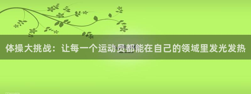 利记官网下载平台注册：体操大挑战：让每一个运动员都能