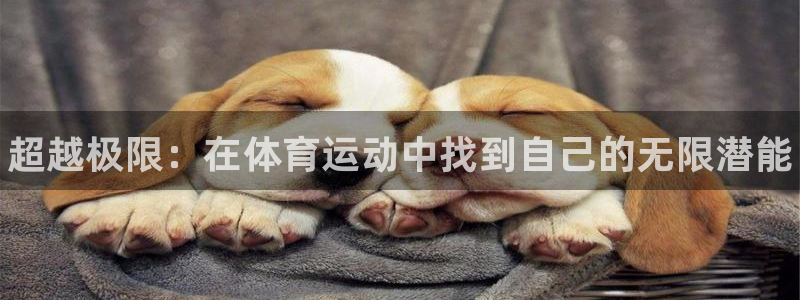 利记官方平台体育：超越极限：在体育运动中找到自己的无限潜能