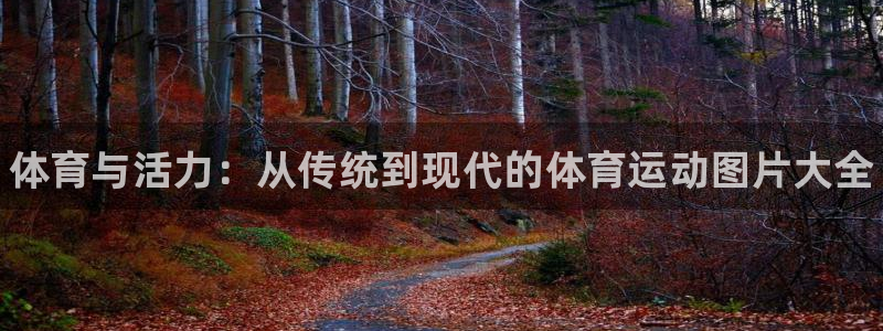利记官方正版app集团：体育与活力：从传统到现代的体育运动图