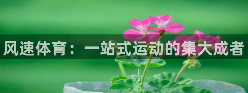 利记官网下载平台是正规平台吗知乎：风速体育：一站式运
