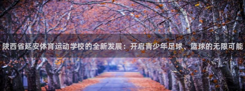 利记官网下载平台：陕西省延安体育运动学校的全新发展：