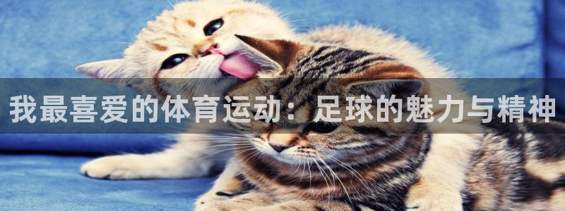 利记官网下载平台APP：我最喜爱的体育运动：足球的魅