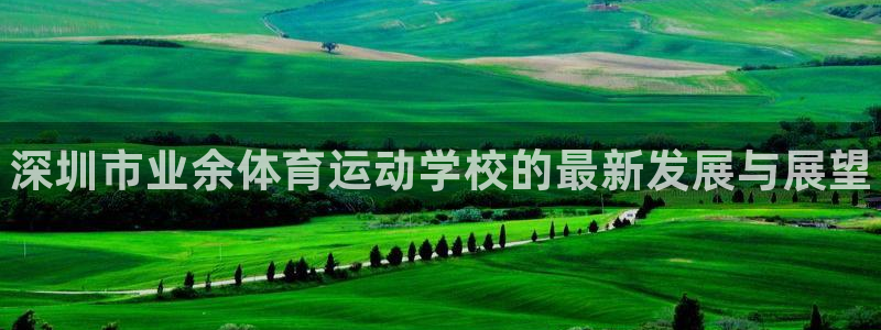 利记官方正版app科技：深圳市业余体育运动学校的最新发展与展