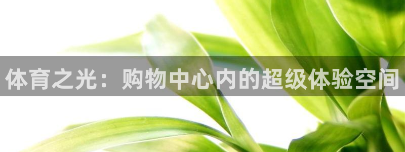 利记官方正版app集团E.ON：体育之光：购物中心内的超级体