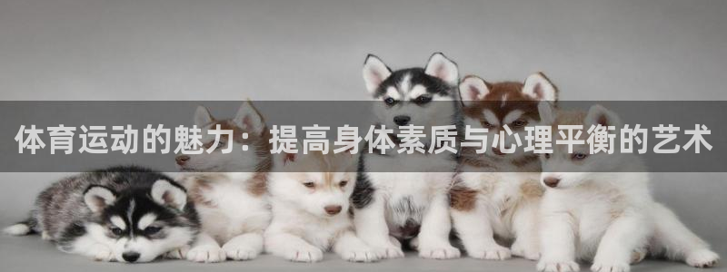 利记官方正版app官网：体育运动的魅力：提高身体素质