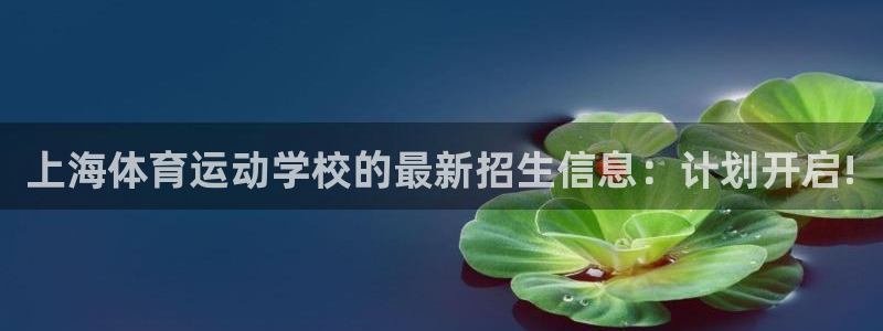 利记官网下载招商电话：上海体育运动学校的最新招生信息：计划开