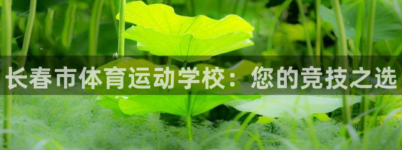 利记官网下载软件：长春市体育运动学校：您的竞技之选