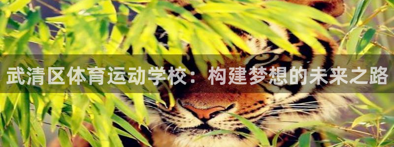 利记官网下载平台假的吗是真的吗吗：武清区体育运动学校：构建梦