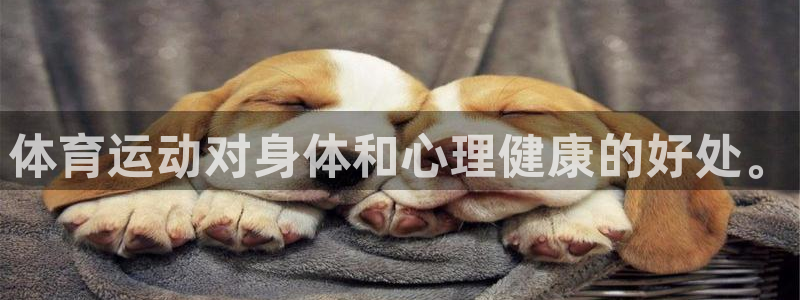 德国利记官方正版app集团：体育运动对身体和心理健康的好处。