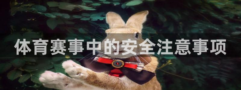 利记官网下载招商电话地址查询：体育赛事中的安全注意事