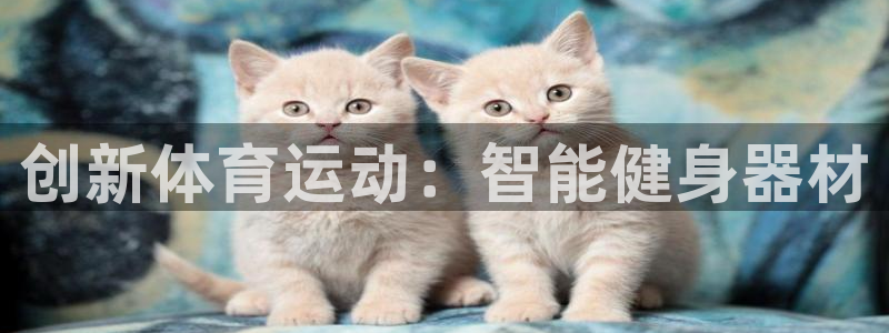 利记官方正版app代理：创新体育运动：智能健身器材